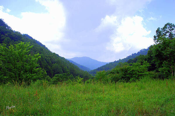 Landscape Mountain Vista Art Print featuring the photograph Bear Wallow by Phil Burton