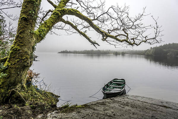 Ireland Art Print featuring the photograph Beautiful Ballynahinch Lake by WAZgriffin Digital