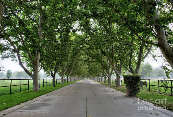 Entrance Art Print featuring the photograph Entrance To River Edge Farm by Eddie Yerkish