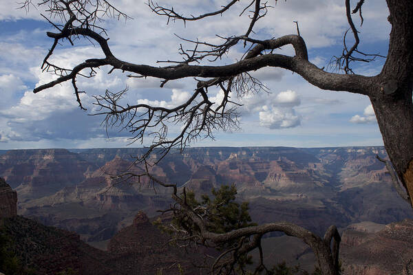 Grand Canyon Art Print featuring the photograph Beautiful View of Grand Canyon by Ivete Basso Photography