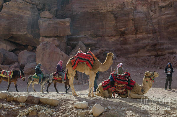Bedouin Art Print featuring the photograph Bedouin Tribesmen, Petra Jordan by Perry Rodriguez