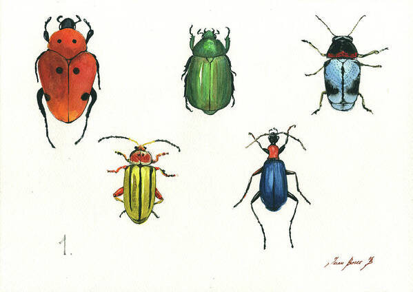 Beetles Artwork Art Print featuring the painting Beetles by Juan Bosco