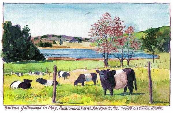 Cows Art Print featuring the painting Belted Galloway Art Maine Cows in May by Catinka Knoth
