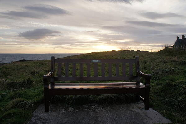 Bench Art Print featuring the photograph Bench for Sunrise by Elena Perelman
