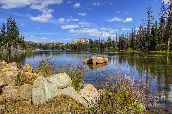 Bench Art Print featuring the photograph Bench Lake by Spencer Baugh