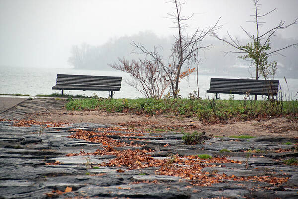 Gloom Art Print featuring the photograph Benches at Webster Pier by Gerald Salamone