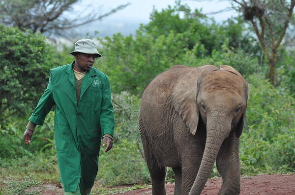 Africa Art Print featuring the photograph Best of Friends by Joe Burns