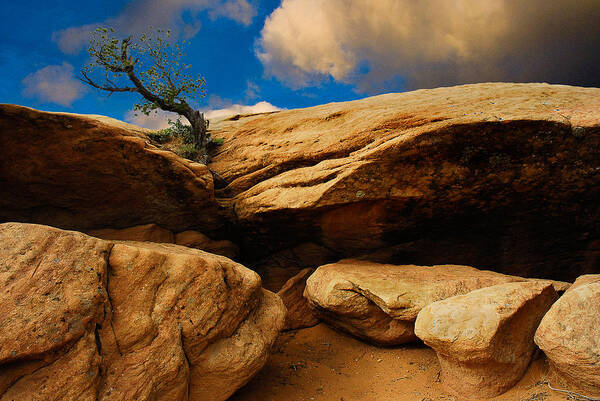 Harry Spitz Art Print featuring the photograph Between a Rock and a Hard Place by Harry Spitz