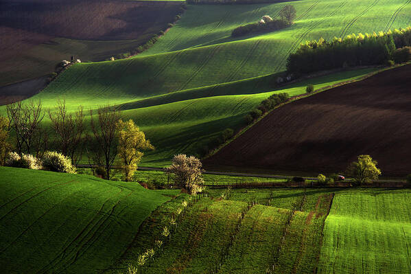 Jenny Rainbow Fine Art Photography Art Print featuring the photograph Between Green Waves by Jenny Rainbow