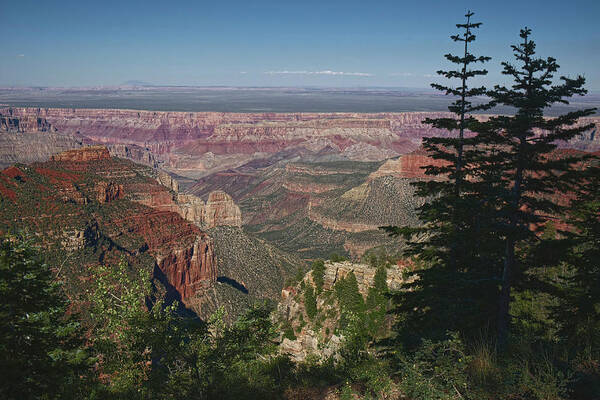Grand Canyon Art Print featuring the photograph Beyond The Edge by Lucinda Walter