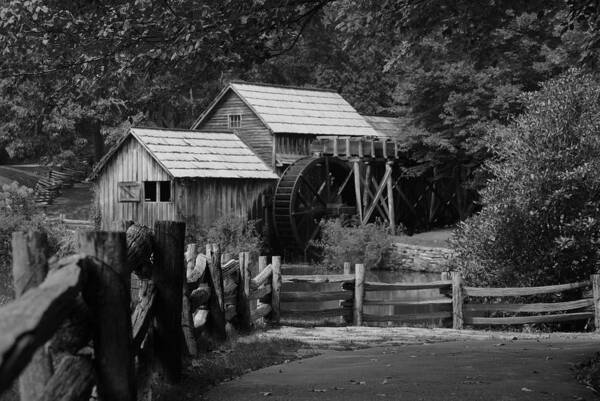 Fence Art Print featuring the photograph Beyond the Fence by Eric Liller