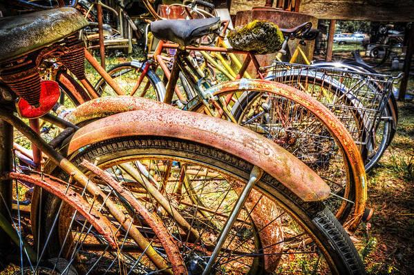 Appalachia Art Print featuring the photograph Bicycles by Debra and Dave Vanderlaan