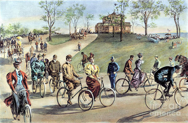 1895 Art Print featuring the photograph Bicycling by Granger