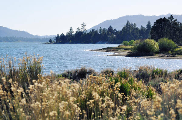 Big Bear Lake Art Print featuring the photograph Big Bear Lake Shoreline by Kyle Hanson