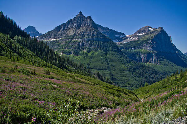 Mountain Art Print featuring the photograph Big Bend, Glacier National Park by Jedediah Hohf