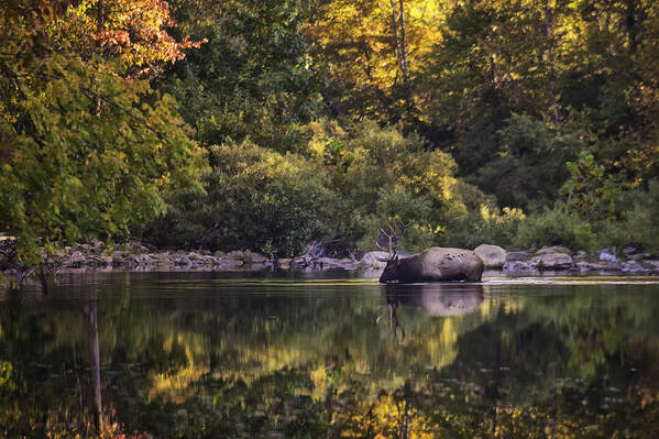 Fall Color Art Print featuring the photograph Big Bull in Buffalo National River Fall Color by Michael Dougherty