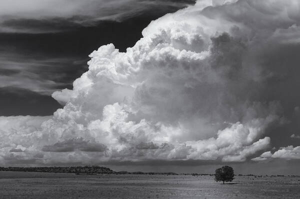 Landscape Art Print featuring the photograph Big Puffy Cloud by Carolyn D'Alessandro