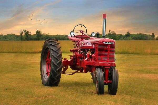 Tractor Art Print featuring the photograph Big Red - Farmall Tractor by Lori Deiter