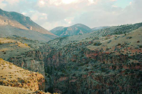Bighorn Art Print featuring the photograph Bighorn National Forest by Troy Stapek