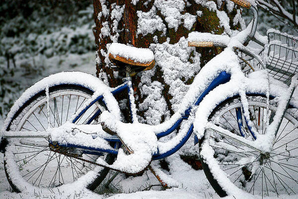 Bellingham Art Print featuring the photograph Bike In The Snow by Craig Perry-Ollila