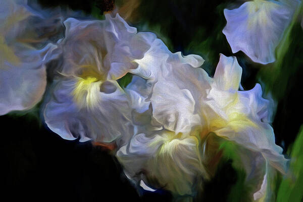 Digital Art Print featuring the mixed media Billowing Irises by Lynda Lehmann