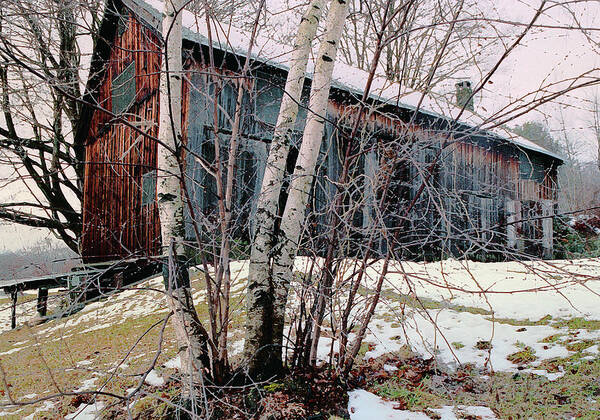 Nyoda Girls Camp Art Print featuring the digital art Birch Trees with Antique Barn, Winter Dusk at Camp Nyoda 1988 by Kathy Anselmo