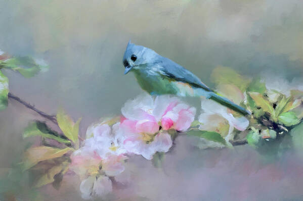 Bird Art Print featuring the photograph Bird and Blossoms by Cathy Kovarik