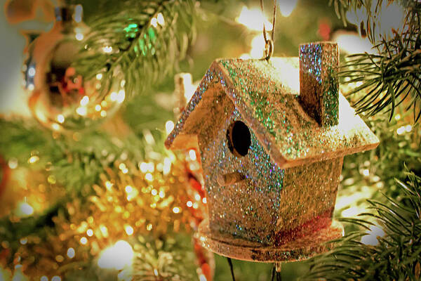 Christmas Art Print featuring the photograph Birdhouse Ornament by Ira Marcus