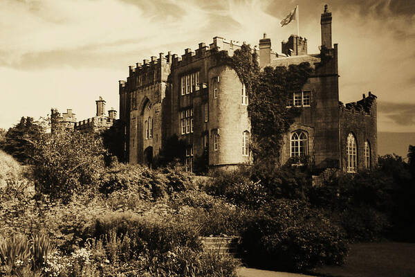 Birr Castle Demesne Art Print featuring the photograph Birr Castle Demesne by Martina Fagan