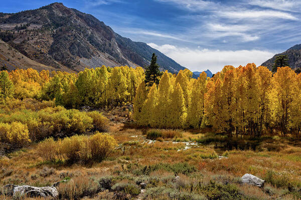 Af Zoom 24-70mm F/2.8g Art Print featuring the photograph Bishop Creek Aspen by John Hight
