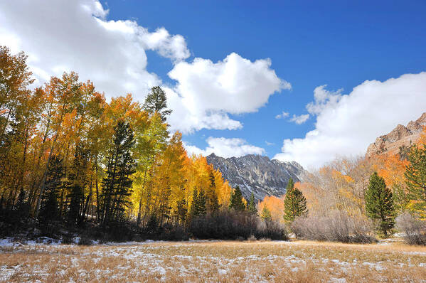 California Fall Art Print featuring the photograph Bishop Creek in California by Dung Ma