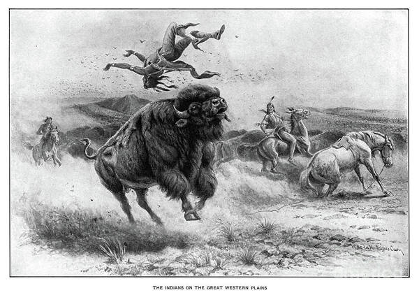 1800s Art Print featuring the drawing Bison Hunt by Granger
