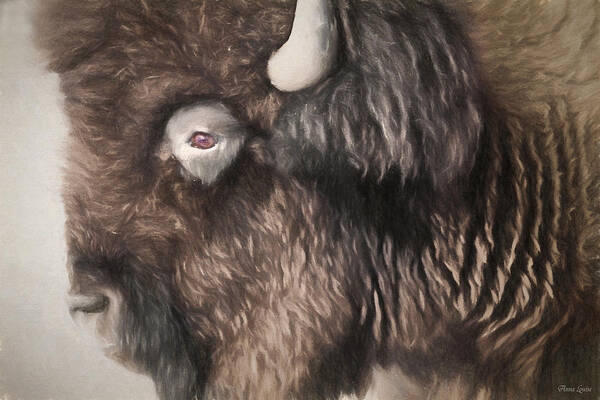 Bison Art Print featuring the photograph Bison Sketch by Anna Louise