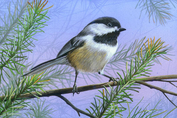 Black Capped Art Print featuring the painting Black Cap Chickadee by Mike Brown