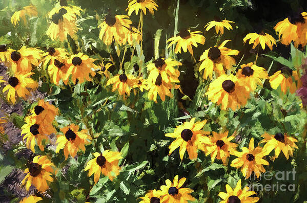 Painting Art Print featuring the photograph Black-eyed Susan Yellow Flowers by Andrea Anderegg