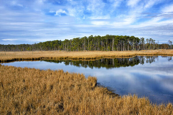 eastern Shore Landscape Art Print featuring the photograph Blackwater National Wildlife Refuge in Maryland by Brendan Reals