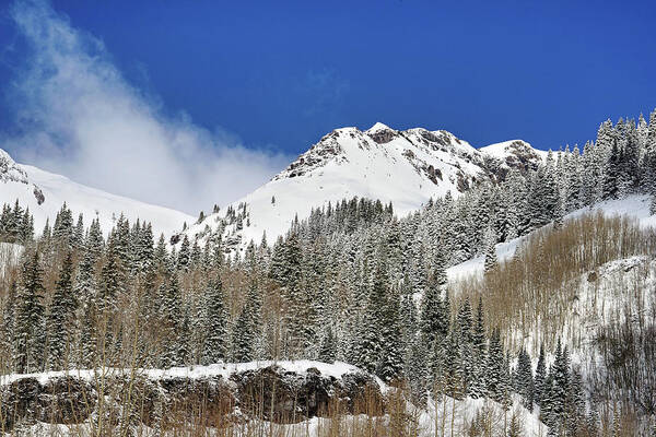 Colorado Art Print featuring the photograph Blanketed in Snow by Leda Robertson