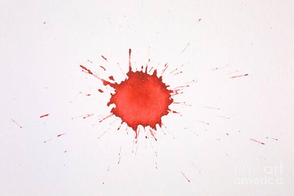 Blood Art Print featuring the photograph Blood Droplet by Ted Kinsman