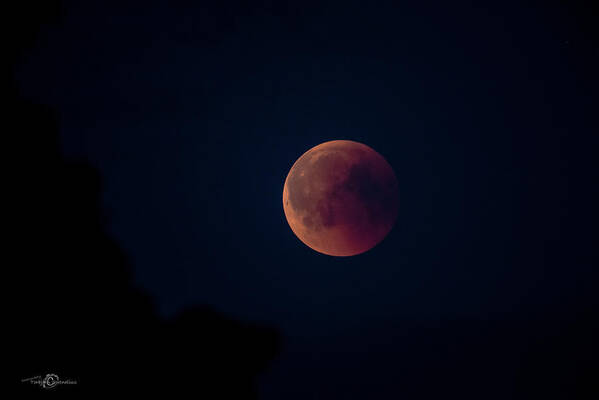 Blood Moon Art Print featuring the photograph Blood Moon by Torbjorn Swenelius
