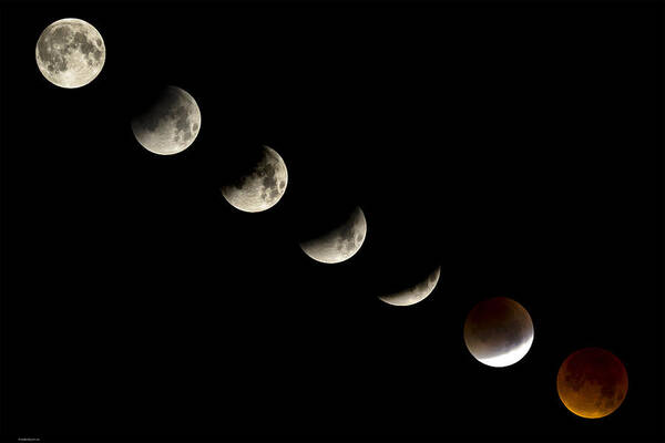Lunar Eclipse Art Print featuring the photograph Bloodmoon Lunar Eclipse with phases composite by Andy Myatt