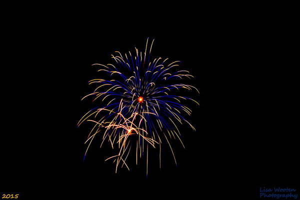 Blue And Gold Firework Art Print featuring the photograph Blue and Gold Fireworks by Lisa Wooten