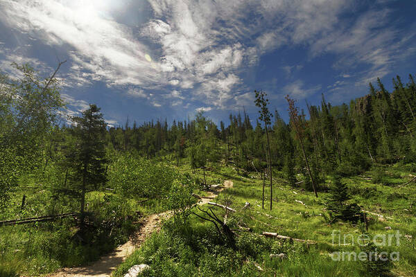 Landscape Art Print featuring the photograph Blue And Green by Steve Triplett