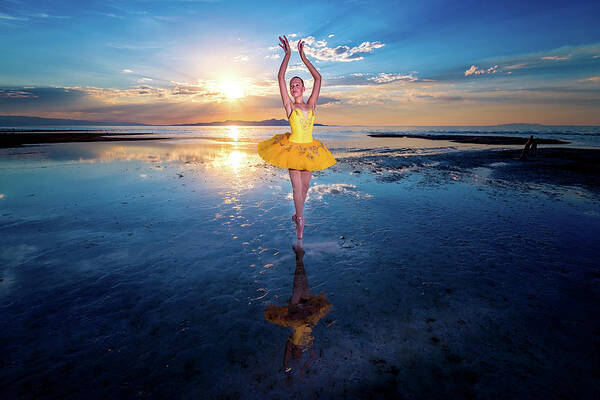 Ballerinaproject Art Print featuring the photograph Blue and Yellow 2 by Dave Koch