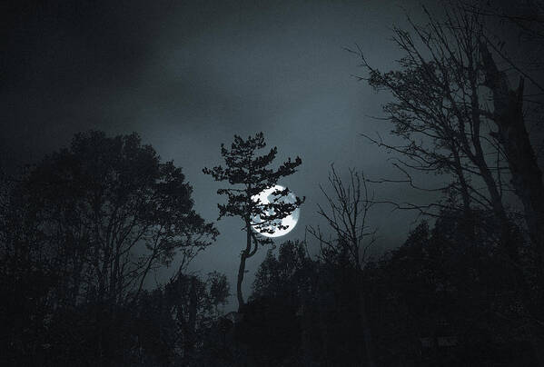 Full Moon Art Print featuring the photograph Blue Moon by Terence Davis