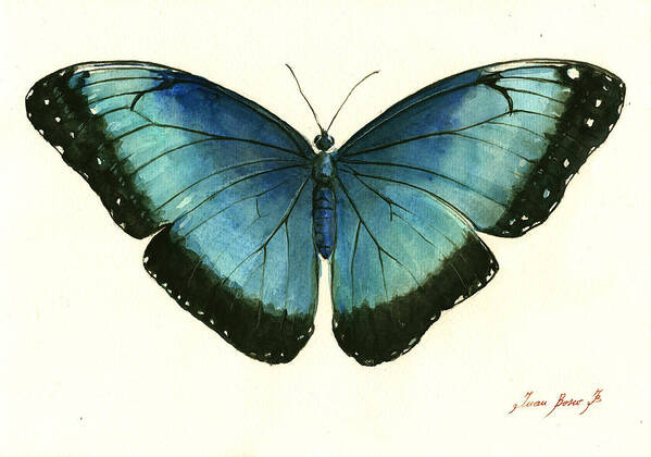 Blue Morpho Art Art Print featuring the painting Blue Morpho butterfly by Juan Bosco