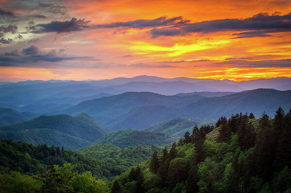 Landscape Art Print featuring the photograph Blue Ridge Parkway NC Taken By Surprise by Robert Stephens