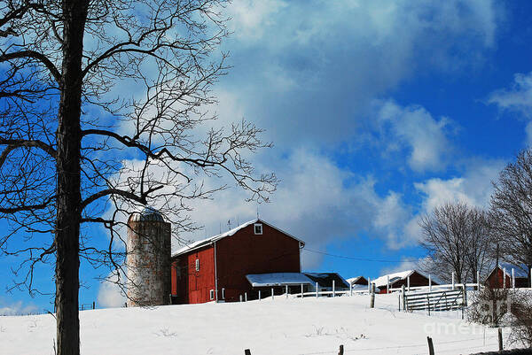 Barn Art Print featuring the photograph Blue Sky Farm by Lila Fisher-Wenzel