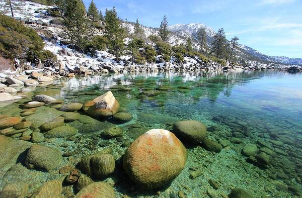 Lake Tahoe Art Print featuring the photograph Bluebird Clarity by Sean Sarsfield