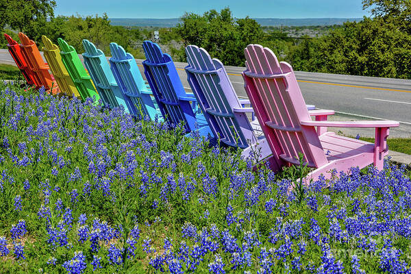 Bluebonnets Art Print featuring the photograph Bluebonnets and chairs by David Meznarich