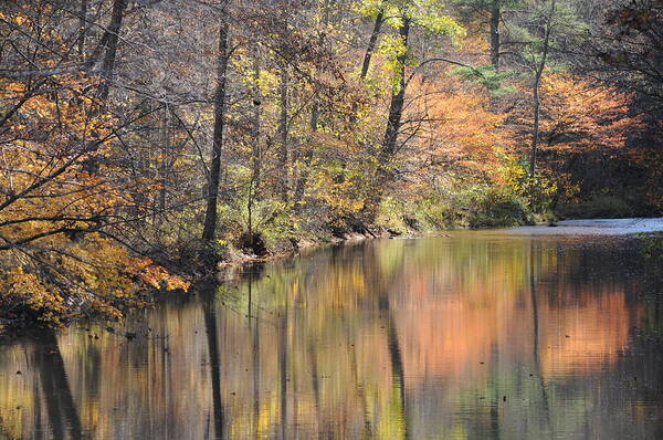 Landscape Art Print featuring the photograph Blushing Beauty by Jack Harries